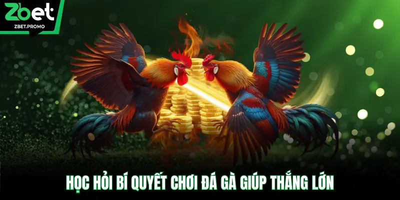 Học hỏi bí quyết chơi đá gà giúp thắng lớn 