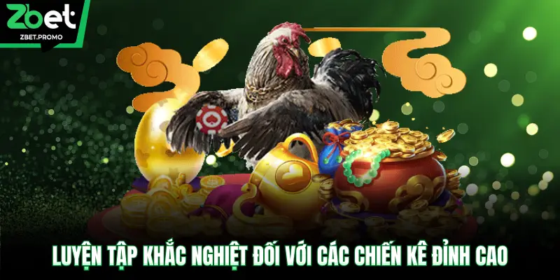 Luyện tập khắc nghiệt đối với các chiến kê đỉnh cao