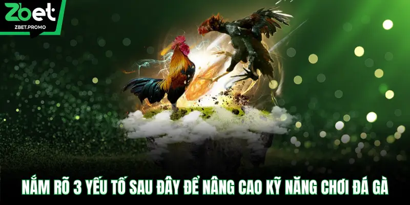  Nắm rõ 3 yếu tố sau đây để nâng cao kỹ năng chơi đá gà